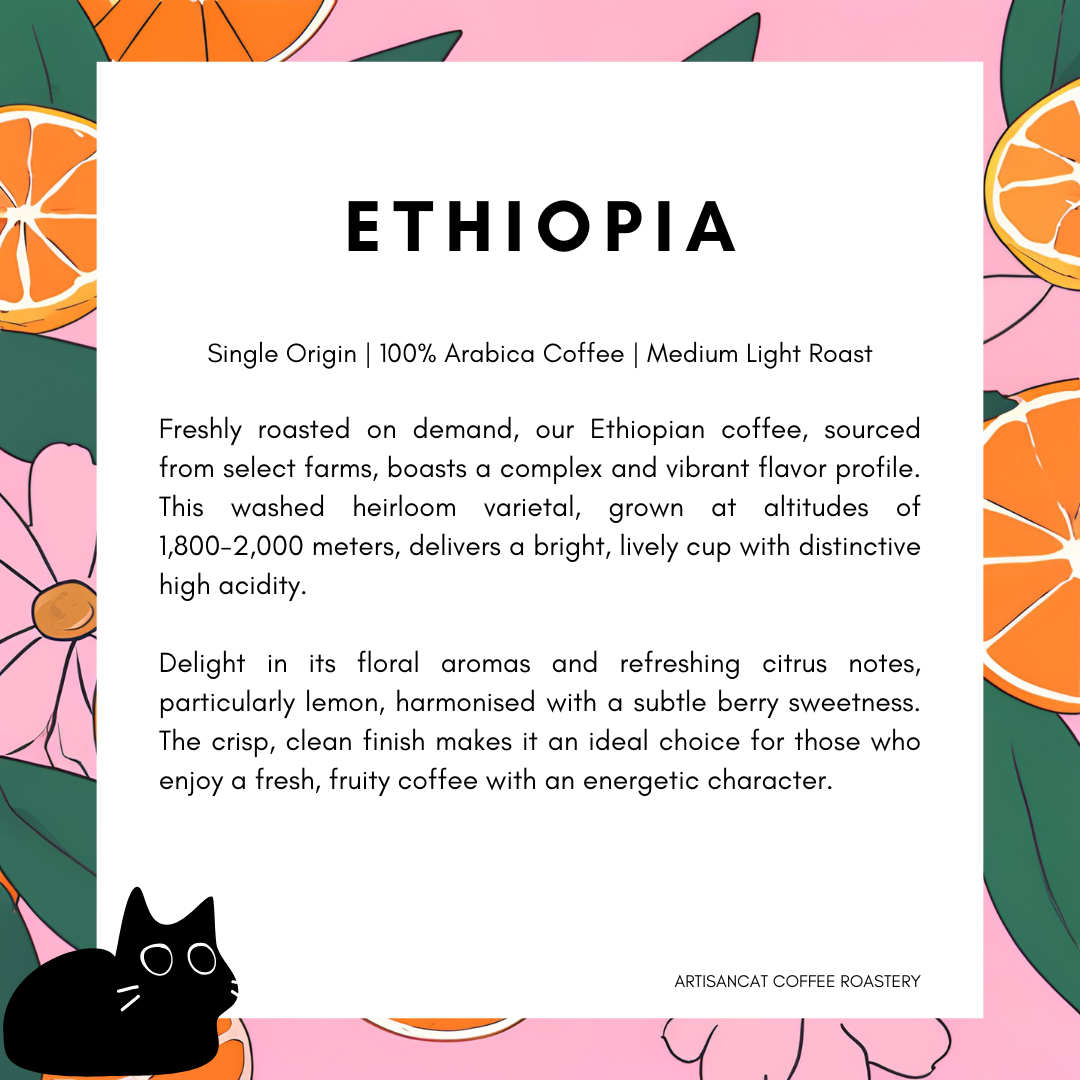 ETHIOPIA DRIP BAG